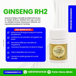 GINSENG RH2—L’élan naturel qui te relève, réveille ta vitalité, retrouve ta puissance
