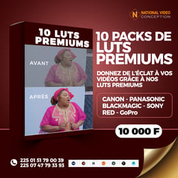 10 PACKS DE LUTS PREMIUMS