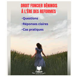 E-Book Pratiques foncières béninoises à l'ère des réformes