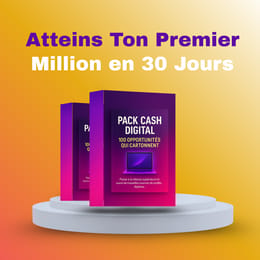100 opportunités  pour atteindre ton premier million en 30 jours