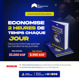 Le Système que j'utilise pour finir mes tâches à 17h au lieu de 21h.