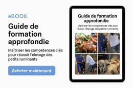 MAÎTRISER LES COMPÉTENCES CLÉS POUR RÉUSSIR L’ÉLEVAGE DES PETITS RUMINANTS