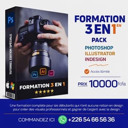 FORMATION EN INFOGRAPHIE 3 en 1 (Photoshop, Illustrator...)