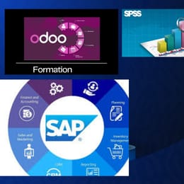 🎓FORMATIONS ODOO + SAP + SPSS + ORACLE + IA + EXCEL + SAGE ...