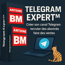 Formation Telegram Expert™ – Créez, recrutez, vendez sans algorithmes