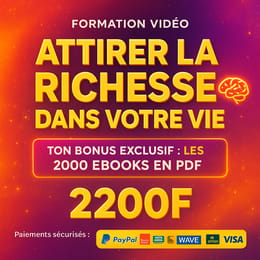 Pack Richesse & Abondance : Transformez Votre Esprit en Aimant à Richesse