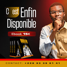 EBOOK BRILLER DANS L'OMBRE