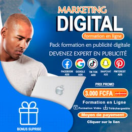 Formation publicité digitale