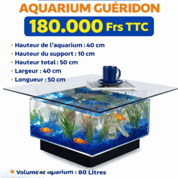 Aquarium Guéridon 80 Litres