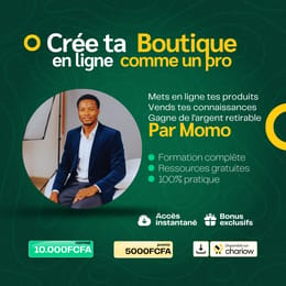 Créer sa boutique en ligne et se faire de l'argent