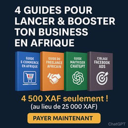 📦 PACK COMPLET "Business en Afrique"