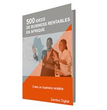 LES MEILLEURS PROJETS A ENTREPRENDRE SANS PERDRE TON ARGENT