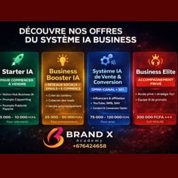 LE SYSTÈME IA BUSINESS – 10000 Prompts pret à vendre