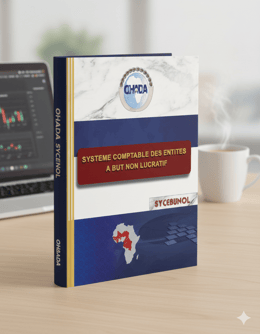SYSTEME COMPTABLE DES ENTITES A BUT NON LUCRATIF