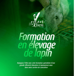 Devenez Expert en Élevage de Lapins grâce à notre Master Class Cunicole