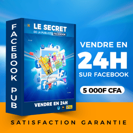 LE SECRET DE LA PUBLICITE FACEBOOK