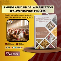 Des formules locales et rentables adaptées à chaque pays d’Afrique.