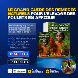 Réduis 70% de tes dépenses en médicaments avec ce guide des remèdes naturels pour poulets