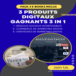 PACK DE 3 E-BOOKS INCLUS ! DES PRODUITS DIGITAUX GAGNANTS. 3 IN 1.