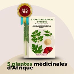 5 plantes médicinales  d'Afrique pour être en bonne santé en 90 jours