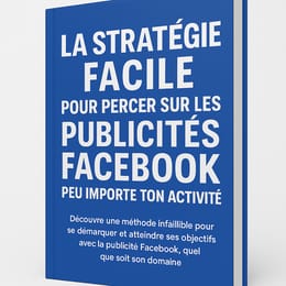 La stratégie facile pour réussir sa campagne publicitaire Facebook peut importe ton activité