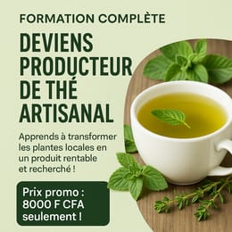 Formation complète : Deviens producteur de thé naturel artisanal