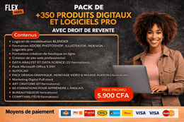 Pack de 350 Produis Digitaux Téléchargeables avec Droits de Revente LogicielsPro inclus