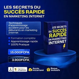 LES SECRET S DU SUCCES RAPIDE EN MARKETING INTERNET