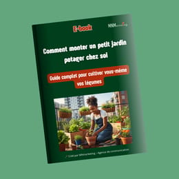 Guide complet pour monter un petit jardin potager chez soi