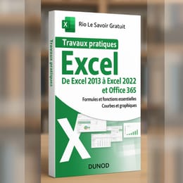 Travaux pratiques Excel : De Excel 2013 à Excel 2022 et Office 365