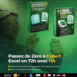 De Zéro à Expert Excel en 72h grâce à Chat GPT + 1000 Templates Excel Prêts à l'Emploi