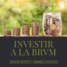 Guide débutant pour investir à la BRVM