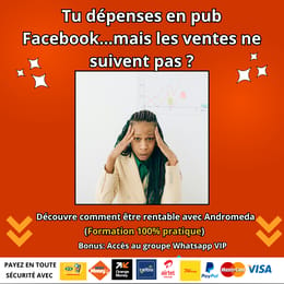 GUIDE ULTIME POUR LANCER ET RÉUSSIR SES PUBLICITÉS FACEBOOK  AVEC LA MÉTHODE ANDROMEDA