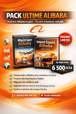 Formation Complète Alibaba : De Débutant à Entrepreneur Rentable