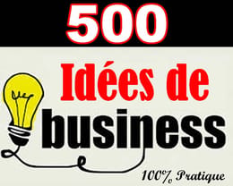 500 Opportunités Business à Fort Revenu : Le Guide Complet à Télécharger