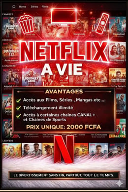 Netlix a vie
