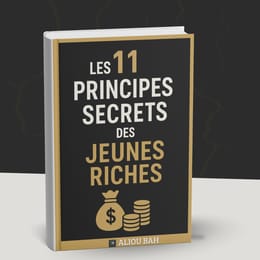 Les 11 principes - secrets des jeunes riches !