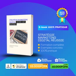 STRATÉGIE MARKETING DIGITAL GUIDE 100% PRATIQUE
