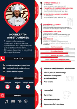 CV PROFESSIONNEL MODIFIABLE (2)