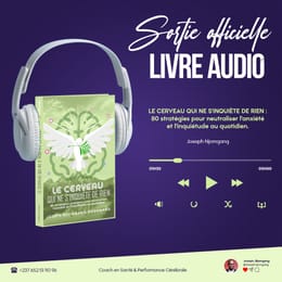Le cerveau qui ne s'inquiète de rien - guide pratique pour un cerveau calme et une vie sans stress