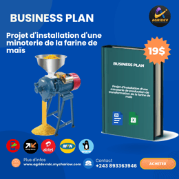 Business plan semoule de maïs