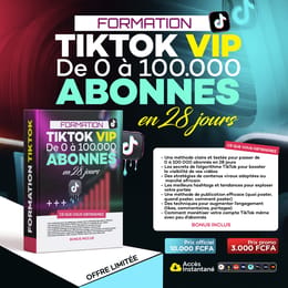 Formation TikTok VIP – Passez de 0 à 100 000 abonnés en 28 jours