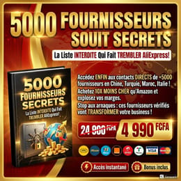 5000 FOURNISSEURS SECRETS : La Liste INTERDITE Qui Fait TREMBLER AliExpress !