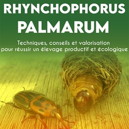 Techniques d’élevage des hannetons : Guide complet pour une production durable
