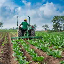 PACK AGROBUSINESS