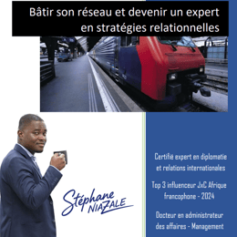 Batir son réseau et devenir un expert en stratégies relationnelles by Dr. Stéphane NIAZALE