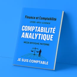 Livre comptabilité analytique