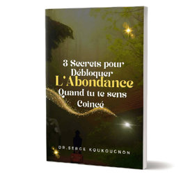 LIVRE 3 SECRETS POUR DEBLOQUER L'ABONDANCE