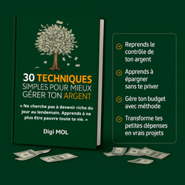 30 TECHNIQUES SIMPLES POUR MIEUX GÉRER TON ARGENT- Prends enfin le contrôle de ton argent