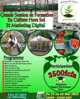 Formation en Agriculture Hors Sol et Marketing digital